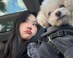 小红书被恶意投诉封号？别慌，这几步自救指南请收好，小红书被他人投诉封号怎么办